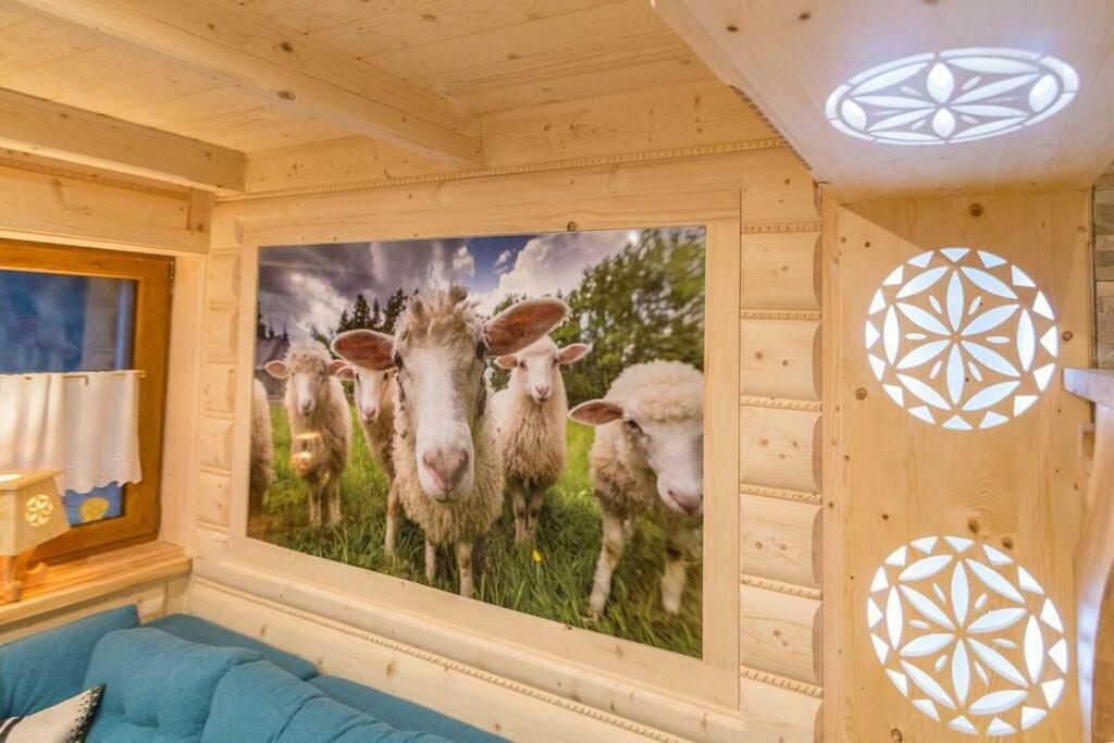 Góralska Kryjówka Apartamento Zakopane Exterior foto